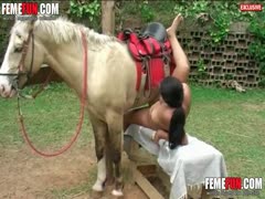 Busty woman tries some horse inches down her love holes